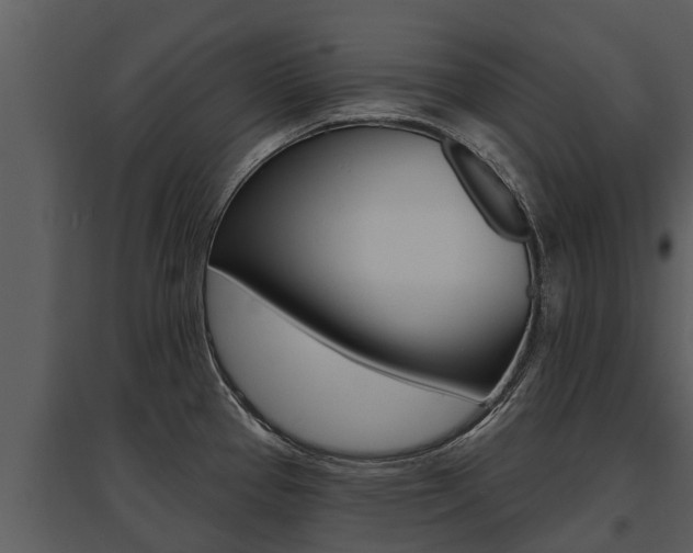 X0000095681337200801081054