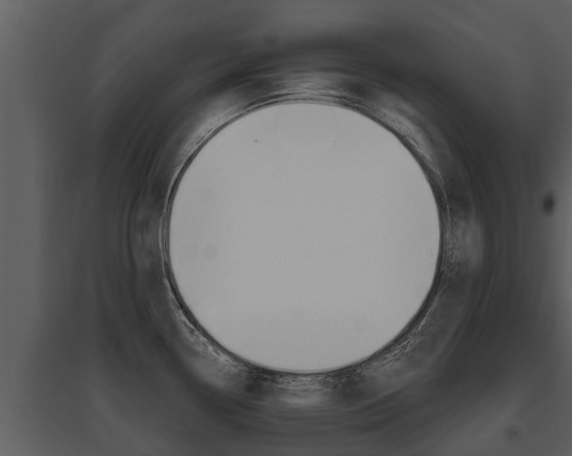 X0000095681338200801081054