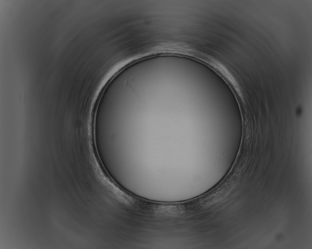 X0000095681339200801081054