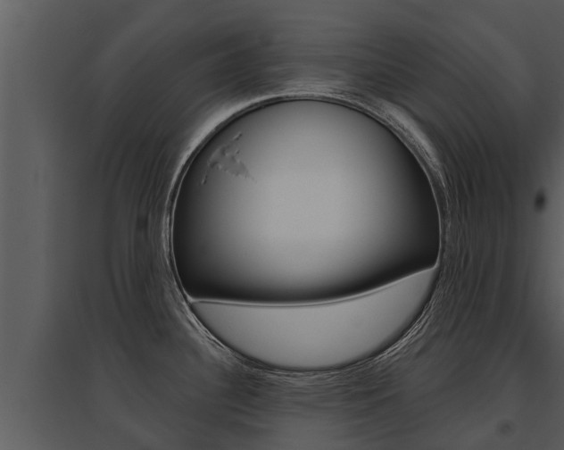 X0000095681340200801081054