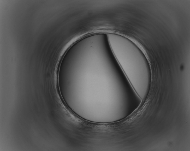 X0000095681341200801081054