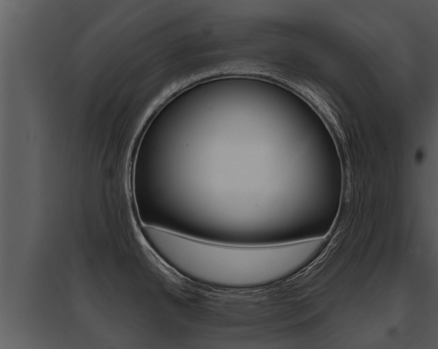 X0000095681342200801081054