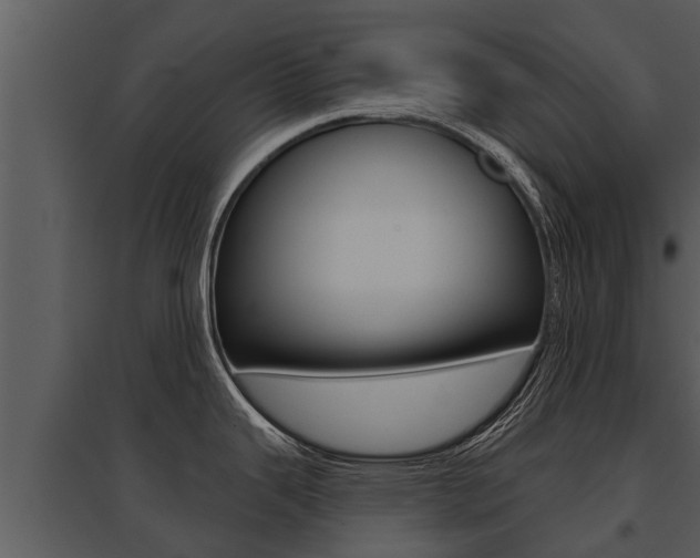 X0000095681343200801081054