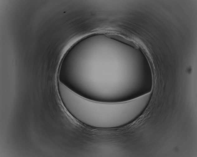 X0000095681344200801081054