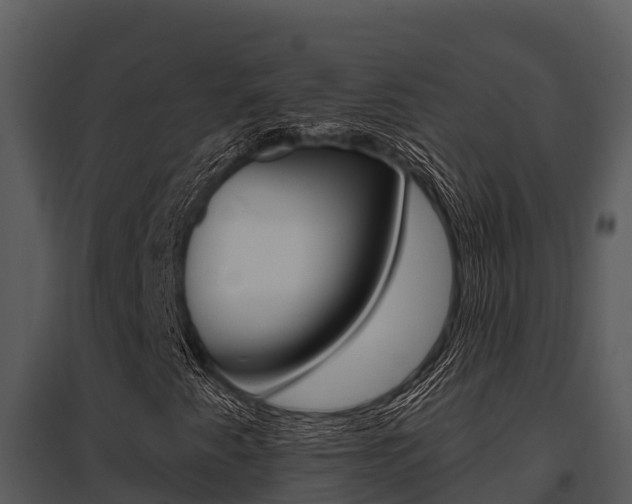 X0000095681345200801081053