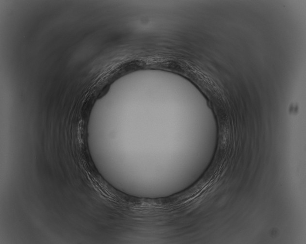X0000095681346200801081053