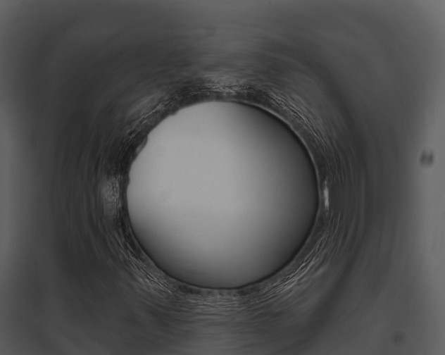 X0000095681347200801081053