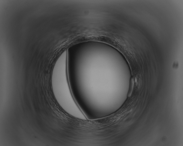 X0000095681348200801081053