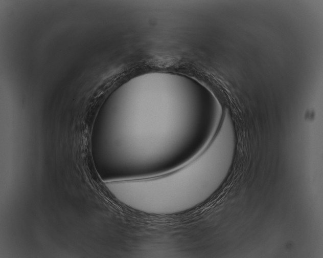 X0000095681349200801081053