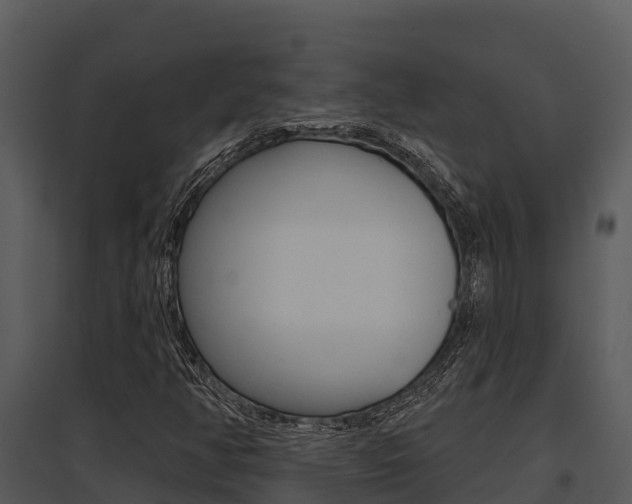 X0000095681350200801081053