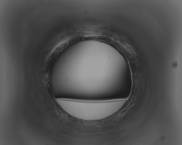 X0000095681351200801081053