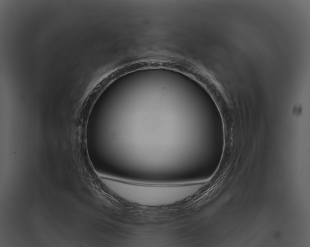 X0000095681352200801081053