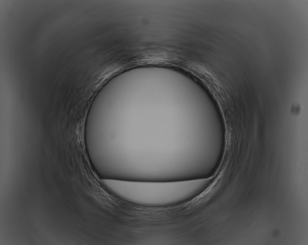 X0000095681353200801081053