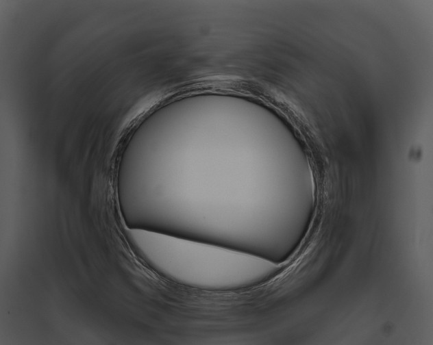 X0000095681354200801081053