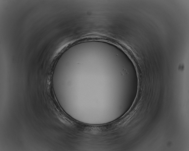 X0000095681355200801081053
