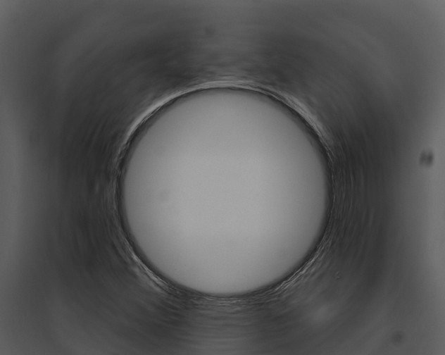 X0000095681356200801081053