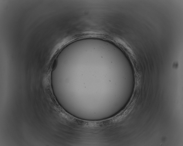 X0000095681357200801081053