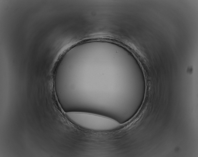 X0000095681358200801081053