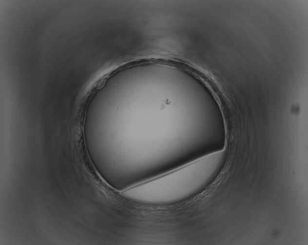 X0000095681359200801081053