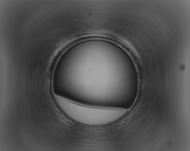 X0000095681360200801081053