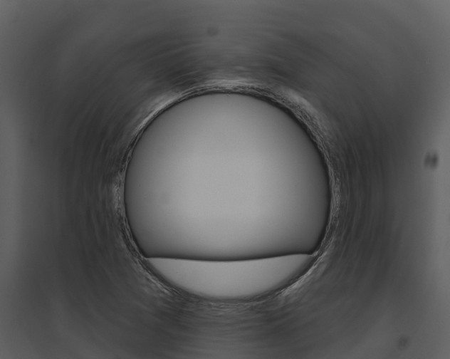 X0000095681361200801081053