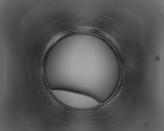 X0000095681362200801081053