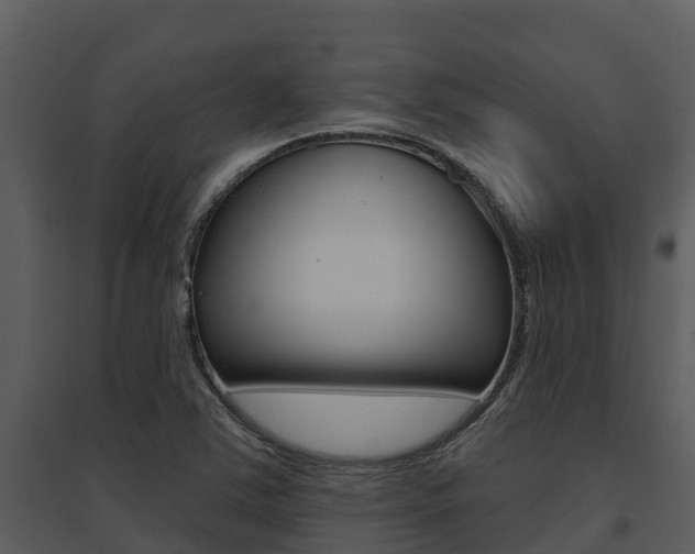 X0000095681363200801081053