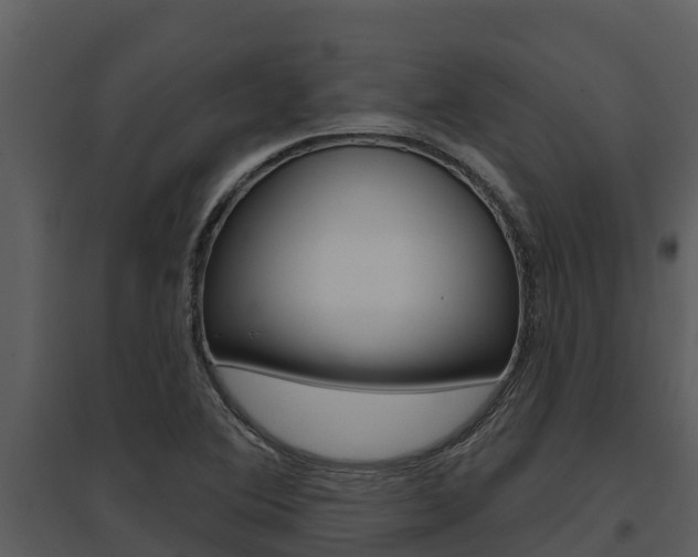 X0000095681364200801081053