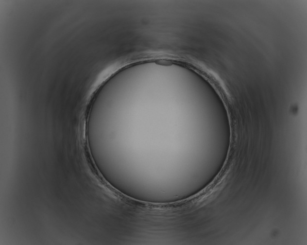 X0000095681365200801081053