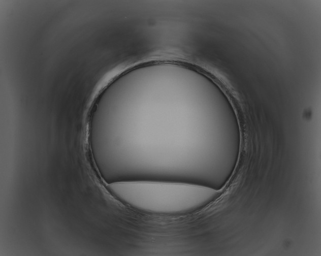 X0000095681366200801081053