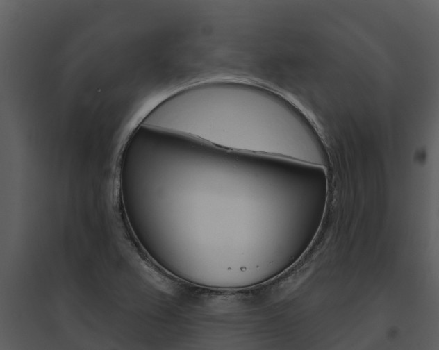 X0000095681367200801081053
