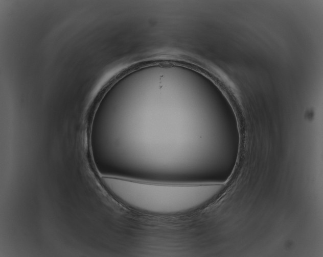 X0000095681368200801081053