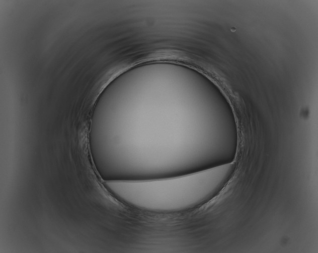 X0000095681369200801081053