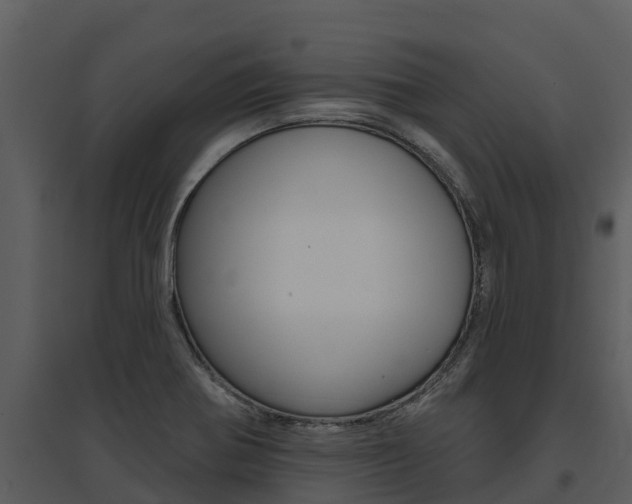X0000095681370200801081053