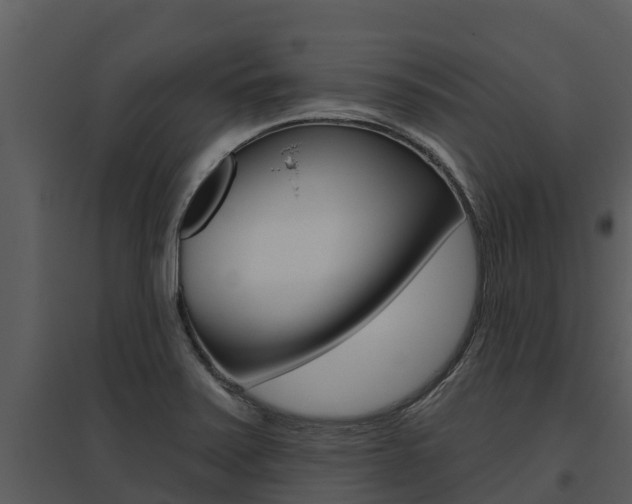 X0000095681371200801081053