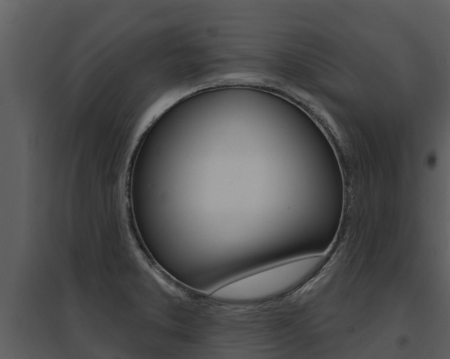 X0000095681373200801081053