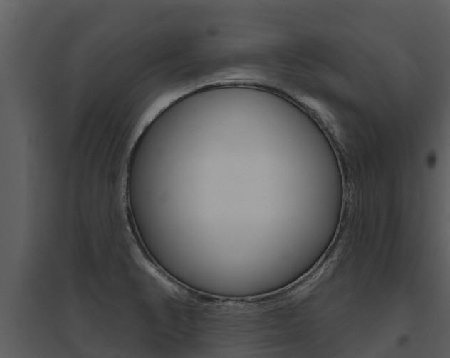 X0000095681374200801081053