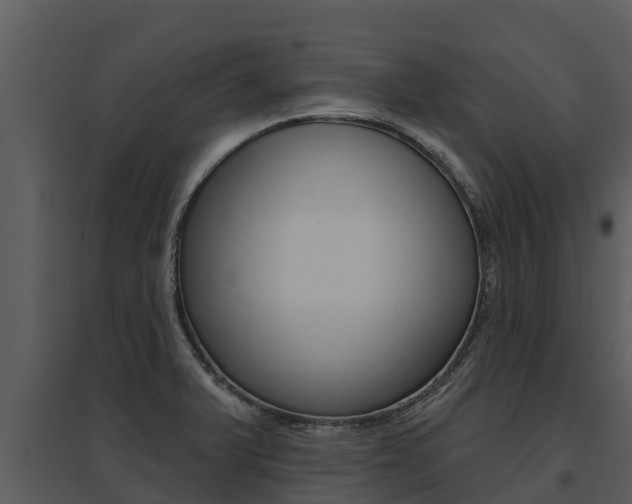 X0000095681375200801081053