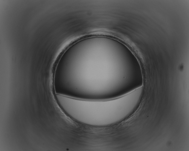 X0000095681376200801081053