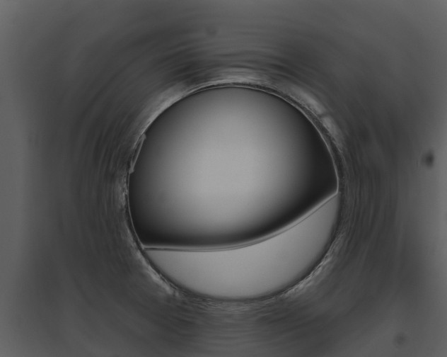 X0000095681377200801081053