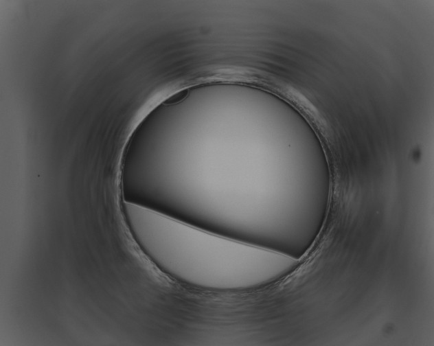 X0000095681378200801081053