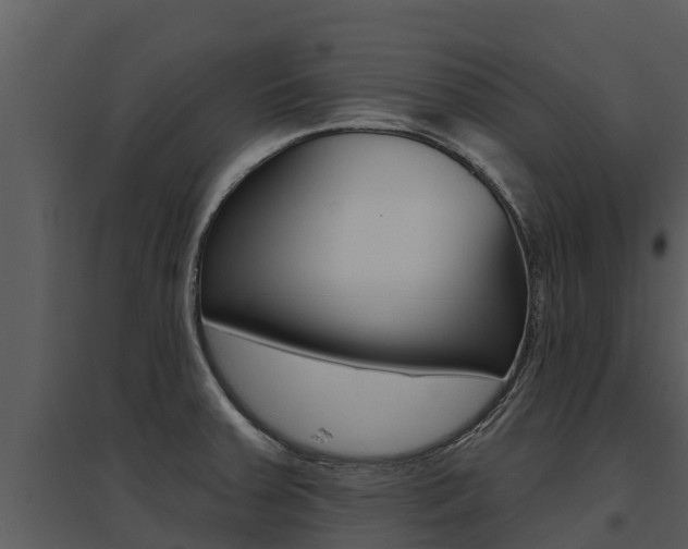 X0000095681379200801081053
