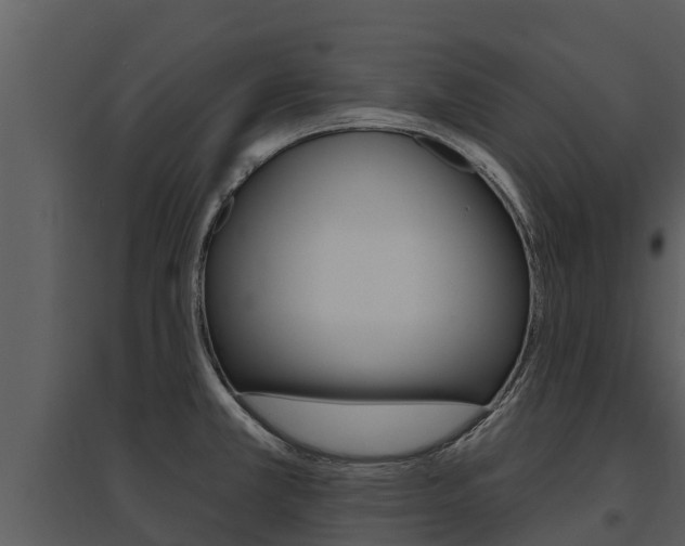 X0000095681381200801081053
