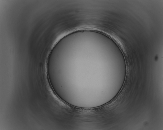 X0000095681382200801081053