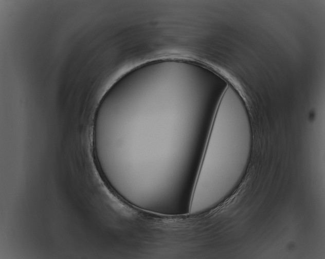 X0000095681383200801081053