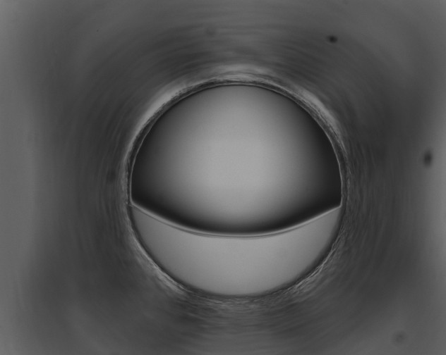 X0000095681384200801081053