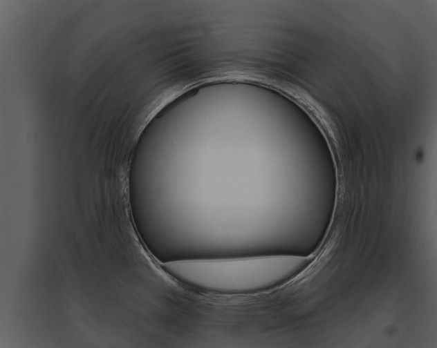 X0000095681385200801081053
