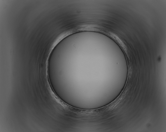 X0000095681386200801081053