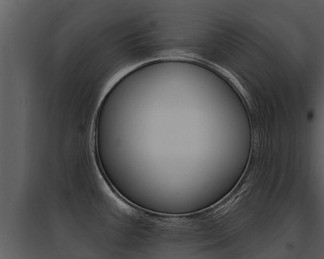 X0000095681387200801081053