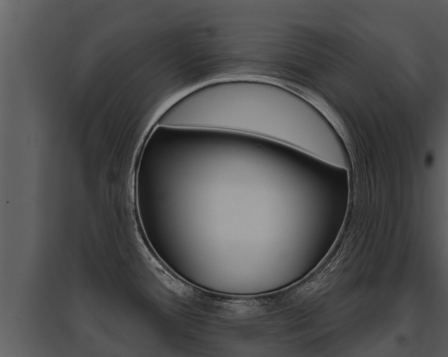X0000095681388200801081053